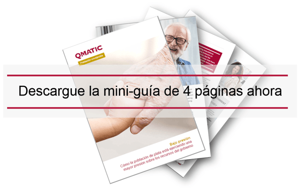 ES_Public_GovEff_AgeingPopLPBanner_2-min-1