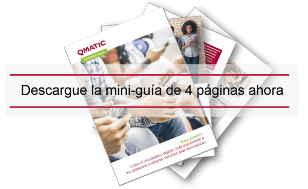 ES_Public_GovEff_DigitalCitizenLPBanner_2-min