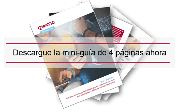 ES_Public_GovEff_PersonalisationLPBanner_2-min